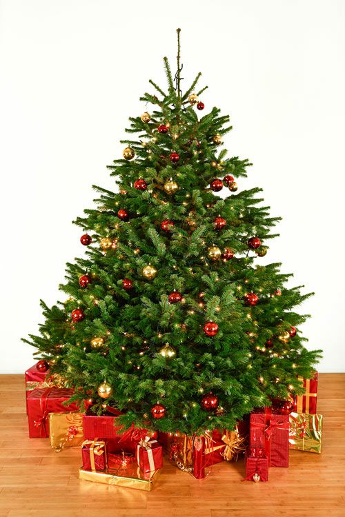 Dekorierter Weihnachtsbaum 2,5 m mit Lichterketten, Kugeln & Deko-Elementen